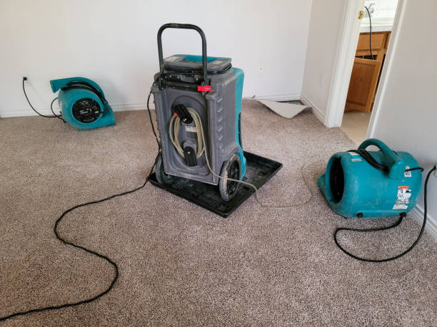 Best 24-hour water damage restoration  in King Arthur Park, MT