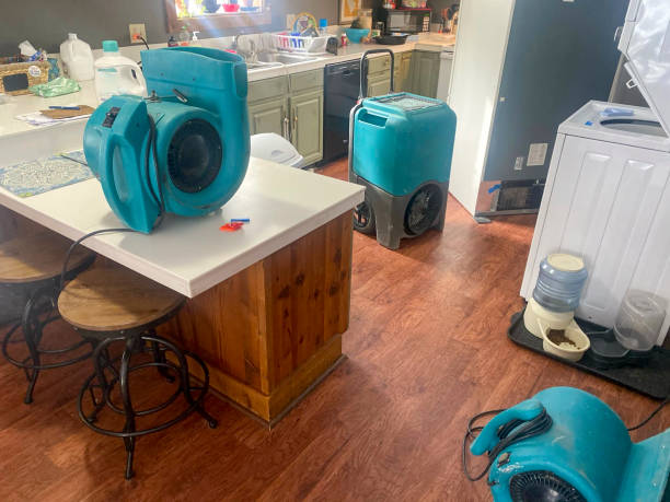 Best Basement water damage restoration  in King Arthur Park, MT