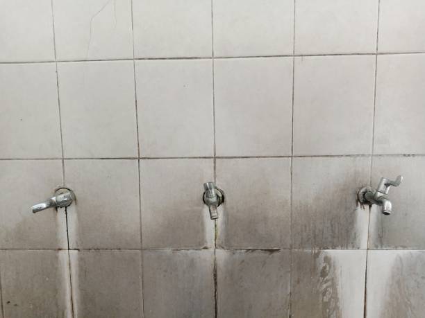 Best Professional water damage repair  in King Arthur Park, MT