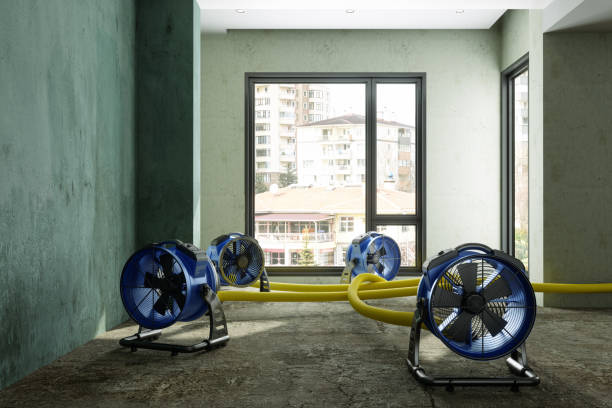 Best Mold removal after water damage  in King Arthur Park, MT