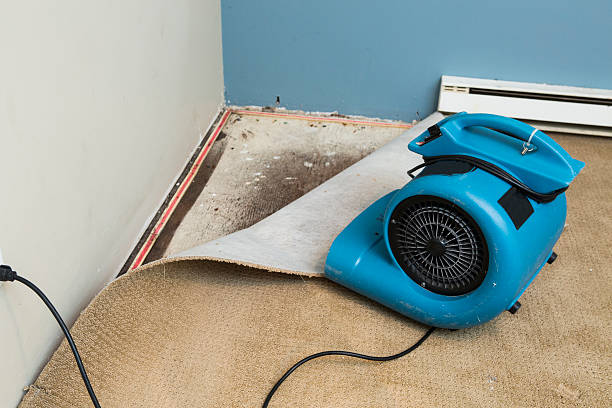  King Arthur Park, MT Water damage restoration Pros